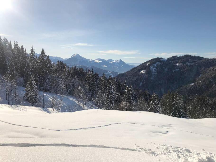 Appartement Cosy 3/4 Personnes A 5 Min Des Pistes. Saint-Jean-dʼAulps Eksteriør bilde
