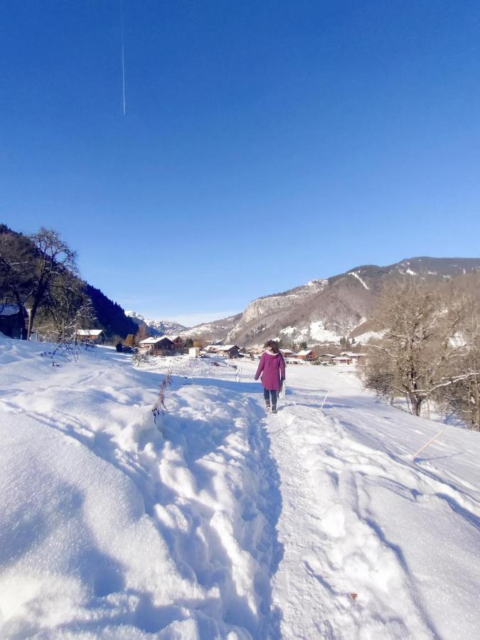 Appartement Cosy 3/4 Personnes A 5 Min Des Pistes. Saint-Jean-dʼAulps Eksteriør bilde